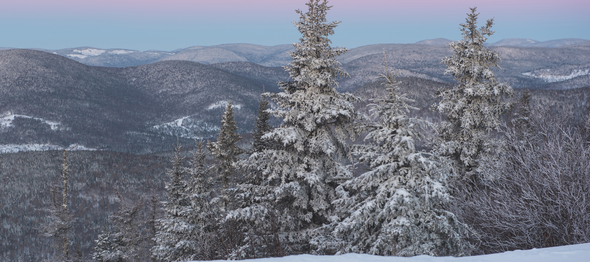 4 Things You Didn’t Know About Being a Ski Instructor