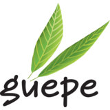 GUEPE logo Plein air  hotellerie emploi
